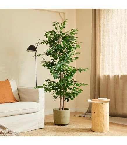 DAKU Ficus Ornamentale Artificiale 120cm - Pianta Tropicale Con 1670 Foglie Bianco-Verdi E Tronco Naturale - 3