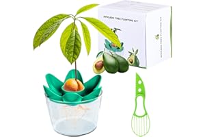 Herefun Plantas de Aguacate, Cortador de Aguacate Cultivo de Aguacate, Kits de cultivo en casa, Regalos de Jardín para Mamás y Mejores Amigos, Adecuado Plantar de Balcones Interiores (Con Contenedor)