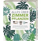 Alles über Zimmerpflanzen: Auswählen, gestalten, pflegen: Inklusive 175 Pflanzen im Porträt