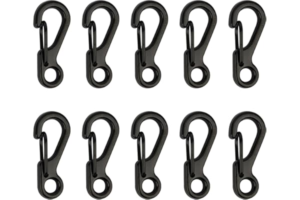 Temlum 2,5 cm Mousqueton Clip Mini Mousquetons en Aluminium pour Camping Voyage Randonnée Porte-clés en Plein Air (10pcs)