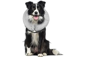 PETYOUNG Collier Gonflable de Récupération avec Boucle pour Chiens et Chats, Collerette de Protection Ajustable Cône de Cicatrisation Confortable pour Chien