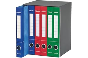 Esselte 391965000 Raccoglitore a 2 anelli, Dorso 4 cm, Colori Assortiti- 1 Gruppo da 6 raccoglitori