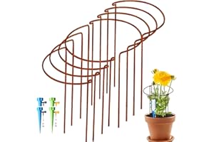 KAZITOO 8 Stück Große 50cm hohe Rostige Bogen-Pflanzenstütze, halbrund Rost-Blumenstütz-Ringkäfig-Rahmen mit 4 selbstbewässernden Spikes, Gartenumrandung für Pfingstrosen, Hortensien(50x27cm)