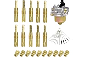 DULUOK 20 Pezzi Kit Getti Carburatore Getti Principali 100 105 108 110 115 120 125 130 135 140 e getti pilota lento 32 35 38 40 42 45 48 50 52 55 PWM con Spazzole di Pulizia per PWK Keihin OKO CVK KOSO PE