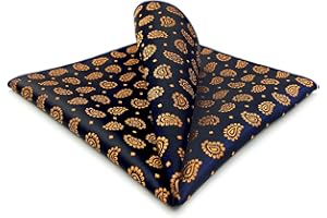 S&W SHLAX&WING Carré De Poche Motif Cachemire Détaillé 32cm Costume Élégant Soirée Événement