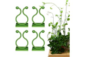 PLANETONE 30 pcs Invisible Wall Vines Fixing Clips Plant Climbing Holder Fixer Self-Adhesive Fixture Wall Sticky Hook Plant S