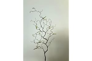 mucplants Haselnusszweig Korkenzieherhasel 70cm künstlicher Zweig Korkenzieherzweig Hasel künstlicher AST Kunstast Kunstzweig