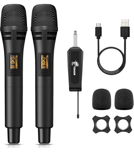 Dubbele draadloze microfoon set geschikt voor JBL Box
