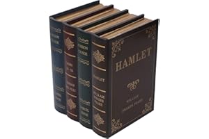 LUQEEG Dekoracyjne Pudełko ze Sztuczną Książką, Styl Vintage Antyczne Dekoracje Książkowe Schowek na Książki w Stylu Vintage, Ozdobne Książki do Wystroju Domu(Large)