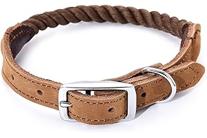 Mile High Life Collare Cane in Nylon Catarifrangente Fascia in Cuoio Taglia (S, Marrone scuro)