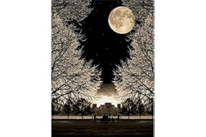 Eletiffi Diamond Painting Erwachsene Diamant Bilder Daiming Diy Set Dimondpaintin 5D Diamontpating Diamanten Crystal Art Daiment Diamont Geschenke Für Frauen Geburtstagsgeschenk Schlafzimmer Deko