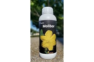 JOYGIFT Corrector de carencia de Boro y molibdeno. Abono fertilizante rico en boro y molibdeno quelatado soluble en agua 1L. Molibore