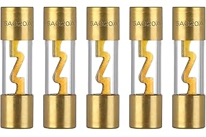 VEXUNGA Fusibles AGU 20A Coche Audio Fusible Vidrio Chapado en Oro 20 Amperios 12V para Equipos de Musica Marine Protección de Energía de Automóvil (Paquete de 5 Piezas)