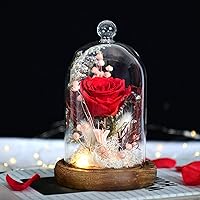 AOKKR Ewige Rose mit LED-Licht, Muttertagsgeschenk, Echte Rose mit Glaskuppel, Exquisiter Rosenbox, Holzsockel…