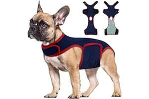 LeLePet Dog Surgery Recovery Suit, Post Op Dog Suit for Male and Female, Adjustable Medical Recovery Vest for Dogs After Surgery, Soft Pet Surgical Shirt for Wound Protection, Blue S