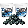Rat and Mouse Killer Block Bait – Strong Rat Poison Bait Blocks Tub | Fast-Acting Single Feed Rodent Control for Home & Garden | Professional Mice & Rat Poisoning Treatment (2 x Sapphire Tub, 300g)