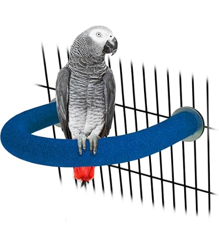Polly's Beach Sands Bird Perch, Large – Trims Nails Safely For Big Birds Like Macaws - View #11