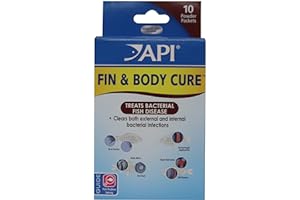 API Fin & Body Cure Powder 10 Paquets