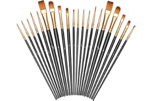 ‎VICLOON Vicloon 20 Stück Pinselset, Nylon Pinsel, Künstlerpinsel, Hochwertige Pinsel mit Kunststoffgriff, Premium Nylon Acrylfarben Pinselset, Malerei Ölfarben Brush Set für Erwachsene, Schwarz