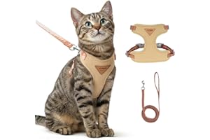 GÉNÉRIQUE Ensemble Harnais et Laisse Anti évasion pour Chat, Harnais Chat reglabl, Confortable, idéal pour Promener Le à l'extérieur, Convient aux Chatons, Chats Moyens et Grands (Beige, L)