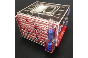 ANT GRAPE humidité de Bricolage Grand 9color Disponible avec nid de fourmilière, Fourmi Acrylique, fourmilière Acrylique (Red)