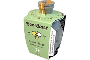 LOU'S NATURE STORE Lou’s Nature Store – Bee Blast – Wildflower Seed Mix – Seed Bomb Contains Wild Flower Seeds – Made in The UK
