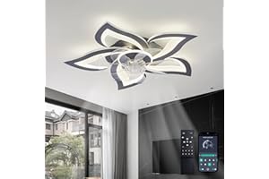 YCWDCZ Deckenventilator mit Beleuchtung und Fernbedienung Leise, Ventilator Licht Decke Schwarz, Sommer Winterbetrieb Reversibel DC Motor, LED Dimmbar Blumen Deckenlampe mit Ventilator, 6 Stufen mit Timer