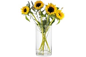 ‎TREND FOR HOME TREND FOR HOME Bodenvase Groß 29 cm Glasvase Zylinder Vase für Osterstrauch Klarglas Pampasgras Transparent Rund Modern Glaszylinder | 4900 ml | Ø 15.8 cm | Magnolia