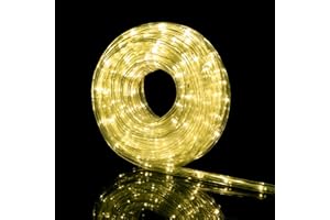 Nataland Tubo Luminoso 10 Metri con 240 Led, Controller 8 Funzioni Con Illuminazione Per Interno Ed Esterno, Perfetto Per Decorare Casa, Giardino, Vetrine e Negozio (Bianco Caldo, 240 Led - 10 Metri)