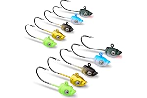 DHER Lot de 10 hameçons à tête plombée pour appâts de pêche,Pêche Hameçons Jig Hameçon de Pêche Hameçons Carpe tête, 5g g Fish Head Lead Head Hooks, Fishing Jig 3D Eye Fishing Hooks