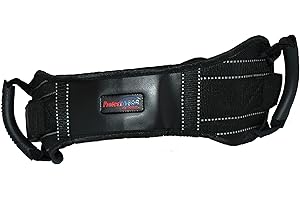 Protectwear Motorrad-Sozius-Haltegurt/Beifahrer-Haltegurt SHG