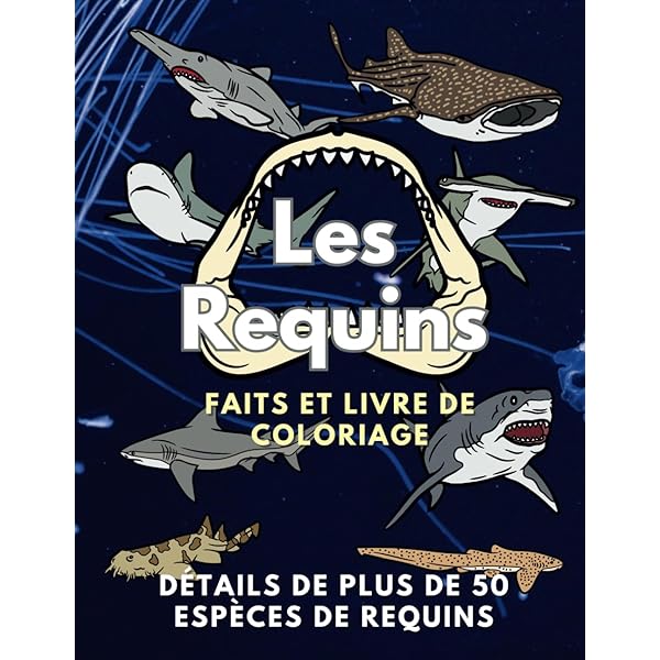 Livre De Coloriage Bebefinn | Napperon De Fête D'anniversaire Requin