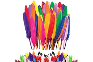 FDRJKN 100 Pcs Feathers for Crafting, Feathers, Craft Feathers, Coloured Feathers, Colorful Craft Feather in Bright Colors, Feather Decoration Crafts for DIY Dream Catcher Hat Vase Mask