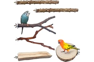 NEUSID 6 Pcs Bird Perches for Cage Natural Wood Parrot Budgie Perch O-Shaped & Rectangle Platforms Birdcage Stand for Parrotlets Cockatiels Lovebirds