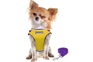 FEimaX Arnés para Gato Antiescape Arnes y Correa Ajustable Reflectante Gatitos Chaleco de Malla Suave para Perros y Gatos Pequeños