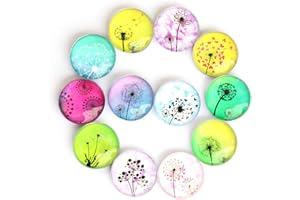 Cosylove Kühlschrankmagnete aus Kristall mit niedlichen Katzenmotiven für Büroschränke, Whiteboards und Fotos, dekorative Magnete für Zuhause