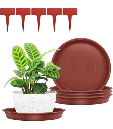 thumbnail image 2 of M METERXITY 2-Pack Plant Saucer, 9 Inch Flower Pot Saucers, Thicker Anti-Rot Root Plastic Plant Saucer For Indoor/Outdoor Potted Plant/Plant Water Catcher Tray [Grey 2 of 14