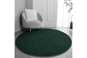 FlyDOIT Round Area Rugs for Bedroom Living Room, 5x5 Dark Green Super Soft Comfy Thickened Memory-Foam Indoor Circle Carpet, Modern Aesthetic Minimalist Carpet for Boys Girls Adults Nursery Home Décor