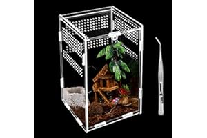RAKUTE Reptilien Terrarium Box, Transparente Fütterungsbox Acryl, 20*12*12cm Reptil Fütterungsbox, Reptilien Aufzuchtbox mit Pinzette, Insekten Futterbox für Spinnen, Eidechsen, Käfer, Frosch, Schlangen etw.