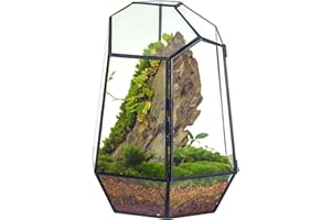 NCYP 25cm Terrario geométrico Hecho a Mano de con Puerta, Maceta de Vidrio Alto Irregular Negro, Maceta Moderna de Cactus suculentos, decoración de jardín para el hogar Regalo (Solo terario)