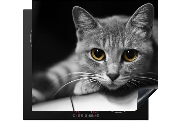 Protège-plaque à induction - Plaque Protection Vitrocéramique Induction - Vinyl - Chat - Animal - Macro - 60x52 cm - Couvre Plaque de Cuisson - Accessoires de Cuisine Multicolor