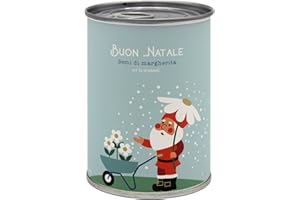 MAUVAISESGRAINES-KITS À SEMER Kit di Coltivazione di Fiori da Regalare con Messaggio - Regalo di Natale per Donna e Uomo Regalo Originale Amici Famiglia Feste - Facilissimo da Usare - 100% Realizzato in Europa (Buon Natale)