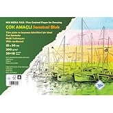 Art Liva Fon Kartonlu Sanatsal Resim Defteri Multi Teknik 20 + 10 Yaprak 200 Gr 35 x 50 cm