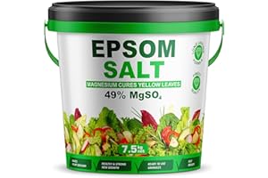 Epsom Salt Bucket for Plants, 49% MgSO4, Magnesium Cure for Yellow Leaves, Ready-to-Use Granules Garden Plant Growth, Lawn Care Magnesium Sulphate Fertiliser by Pure Source Nutrition (7.5KG)