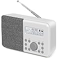 MangoKit MD1 Portable DAB+ Radio I Digital Radios Mains and Battery I ...