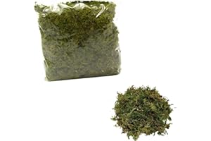 Moranduzzo – Sacchetto Muschio Naturale 120g – Artigianato Made in Italy – Accessori e Materiali per Realizzare un Presepe Tradizionale Fai da Te