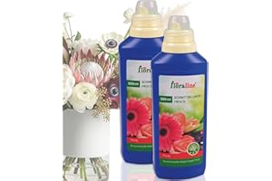 floraline® | Schnittblumen Frisch | deutlich längere Frische für Blumen Sträuße | Blüten in voller Pracht | 2x 500ml