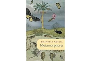 Metamorphoses