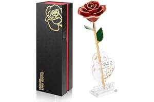 Ariceleo Doré Infinity Rose Décoration Intemporelle, Cadeau d'anniversaire pour Femme Saint Valentin Fête des MèRes, Rose de Conservation de Résine | Cadeau d'anniversaire pour Maman (Rouge)