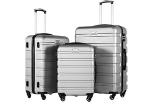 COOLIFE Koffer Premium Koffer Hartschalenkoffer Trolley Rollkoffer Reisekoffer Kofferset Handgepäck mit TSA-Schloss und 4 Rollen (Helles Silber, Koffer-Set)